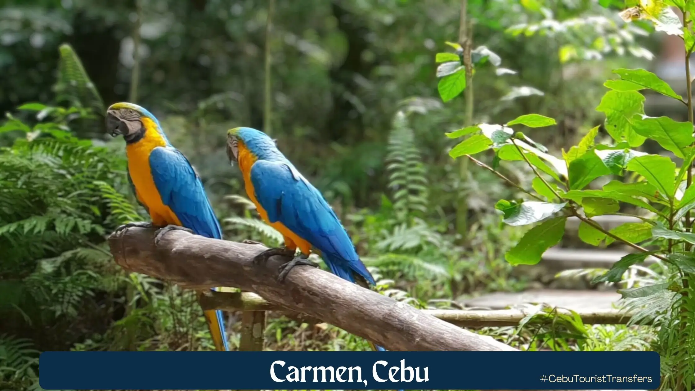 Carmen Cebu