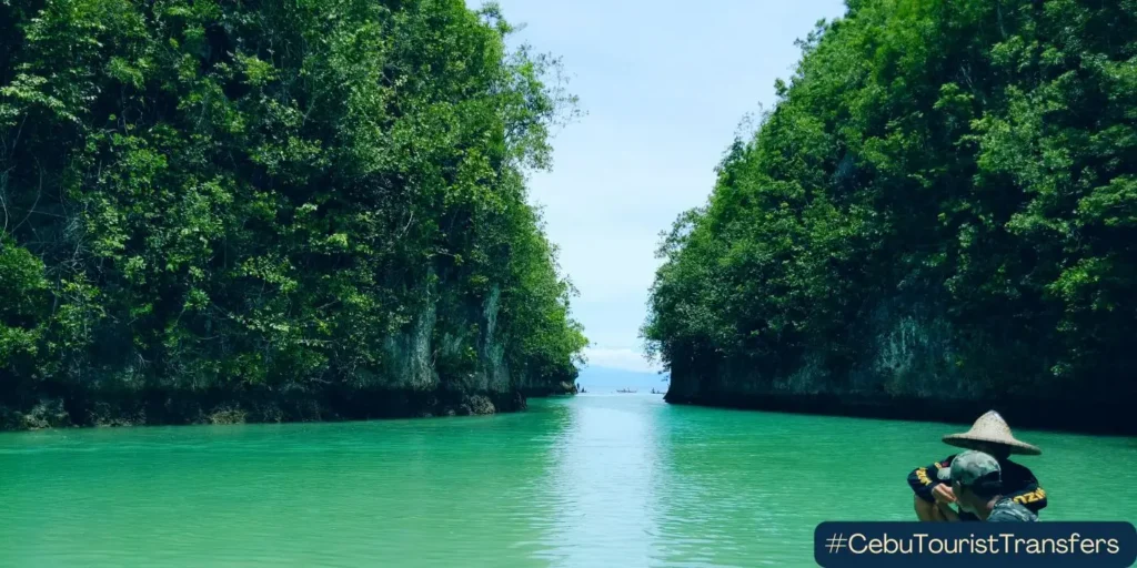 Go on a river cruise in Aloguinsan in South Cebu