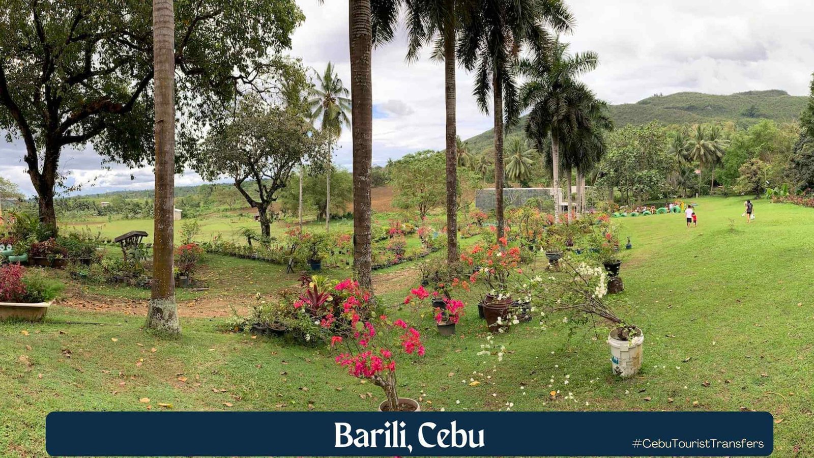barili cebu