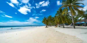 beach in bohol