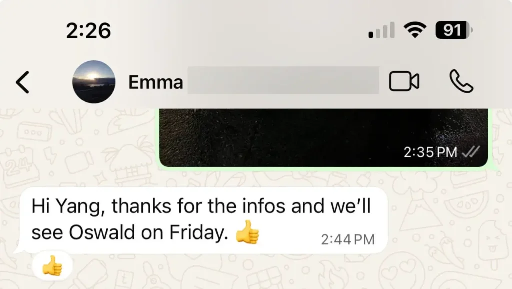 emma - guest testimonial for cebutouristtransfers
