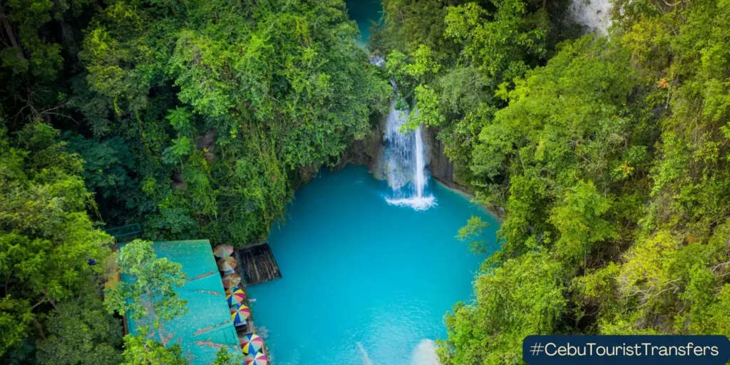 kawasan falls in badian cebu