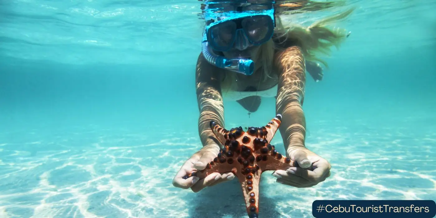 main image for blog on malapascua vs moalboal