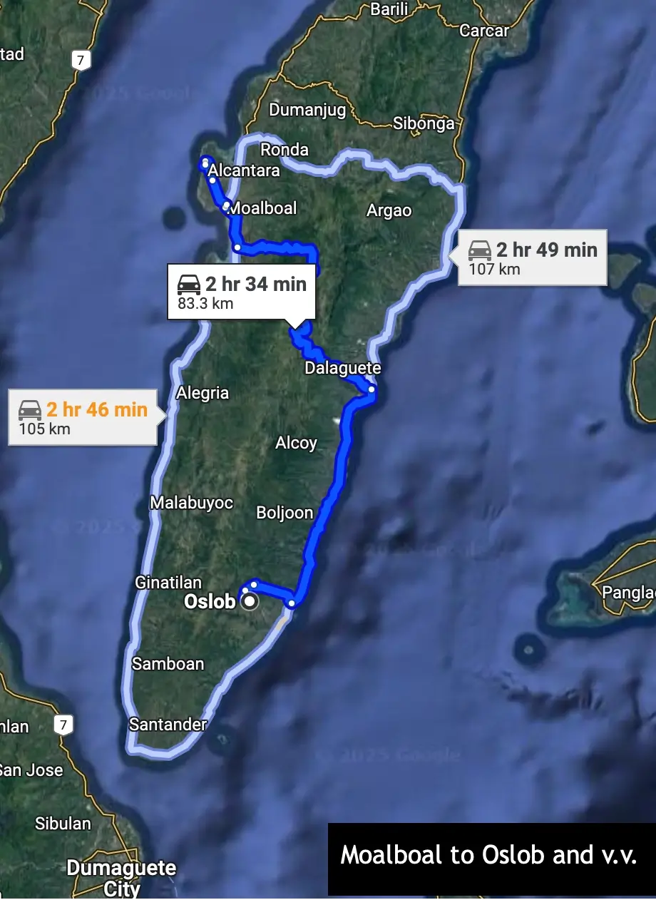 moalboal to oslob private vehicle transfer for tourists in cebu