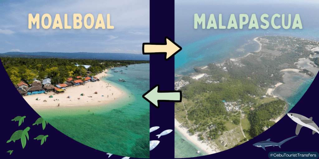 moalboal to malapascua private transfer